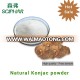 konjac gum powder manufacturer best price